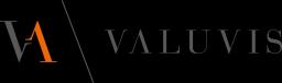 Valuvis Logo