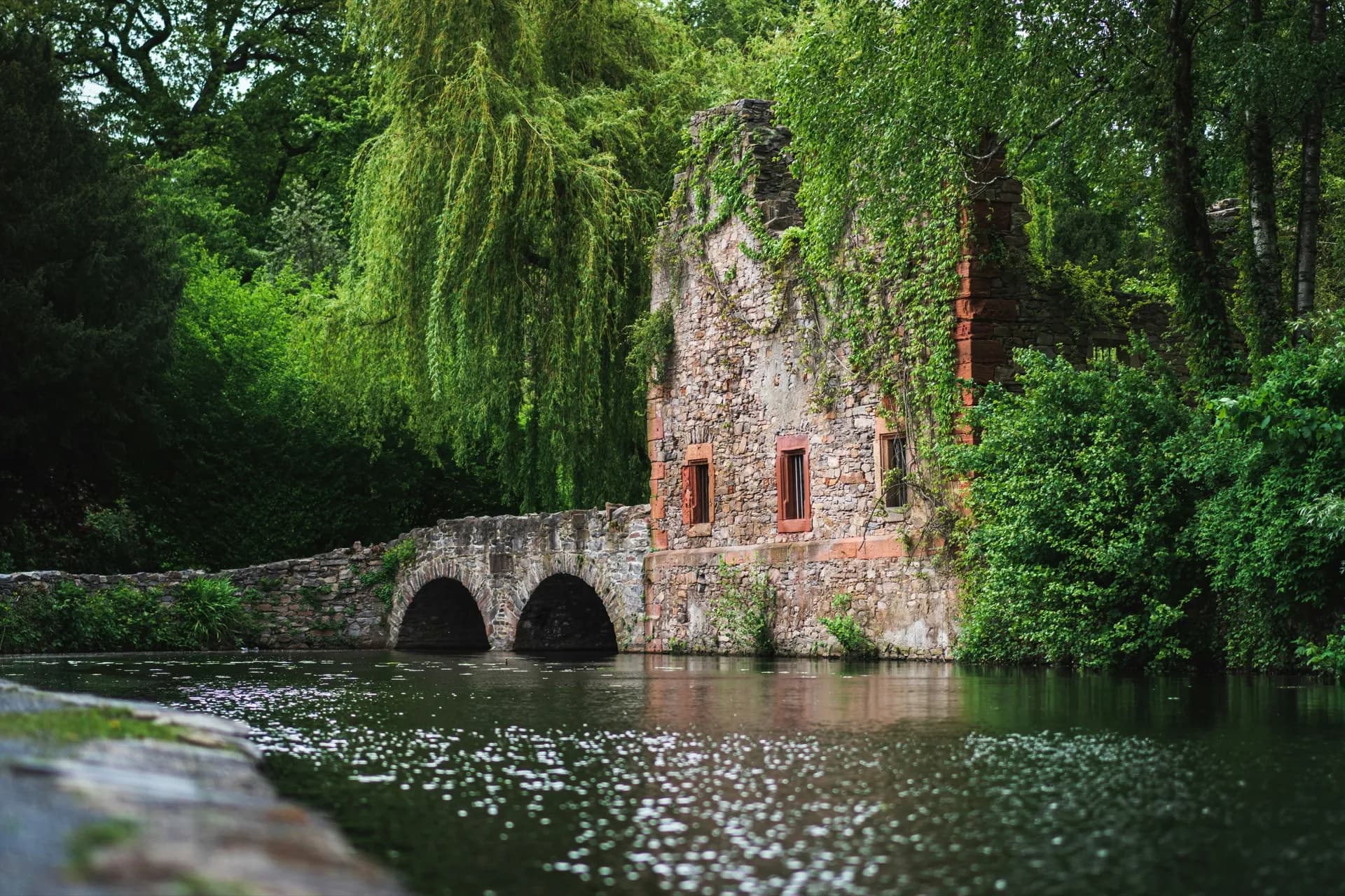 Klosterruine im Park Schöntal in Aschaffenburg