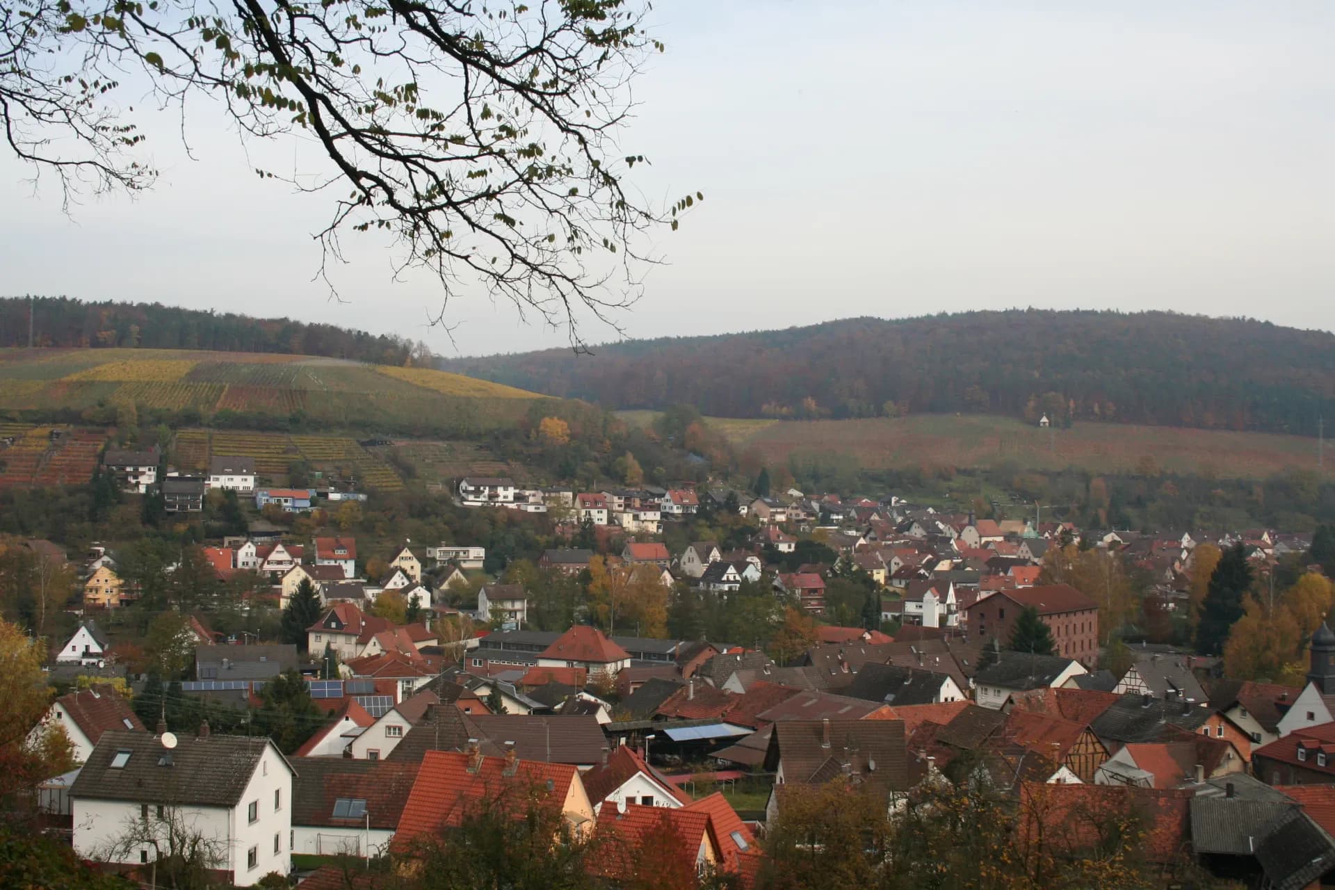 Blick über die Elsenfelder Ortsteile Schippach und Rück
