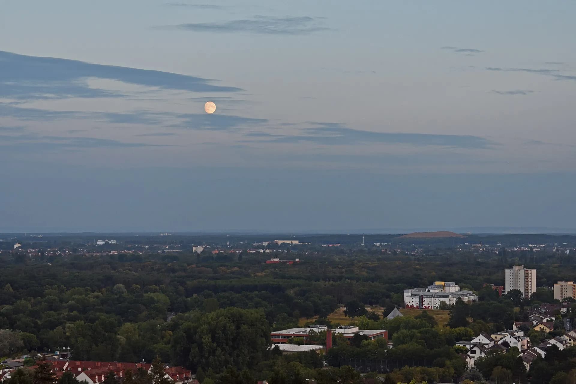 Blick vom Enkheimer Wald über das Rhein-Main-Gebiet