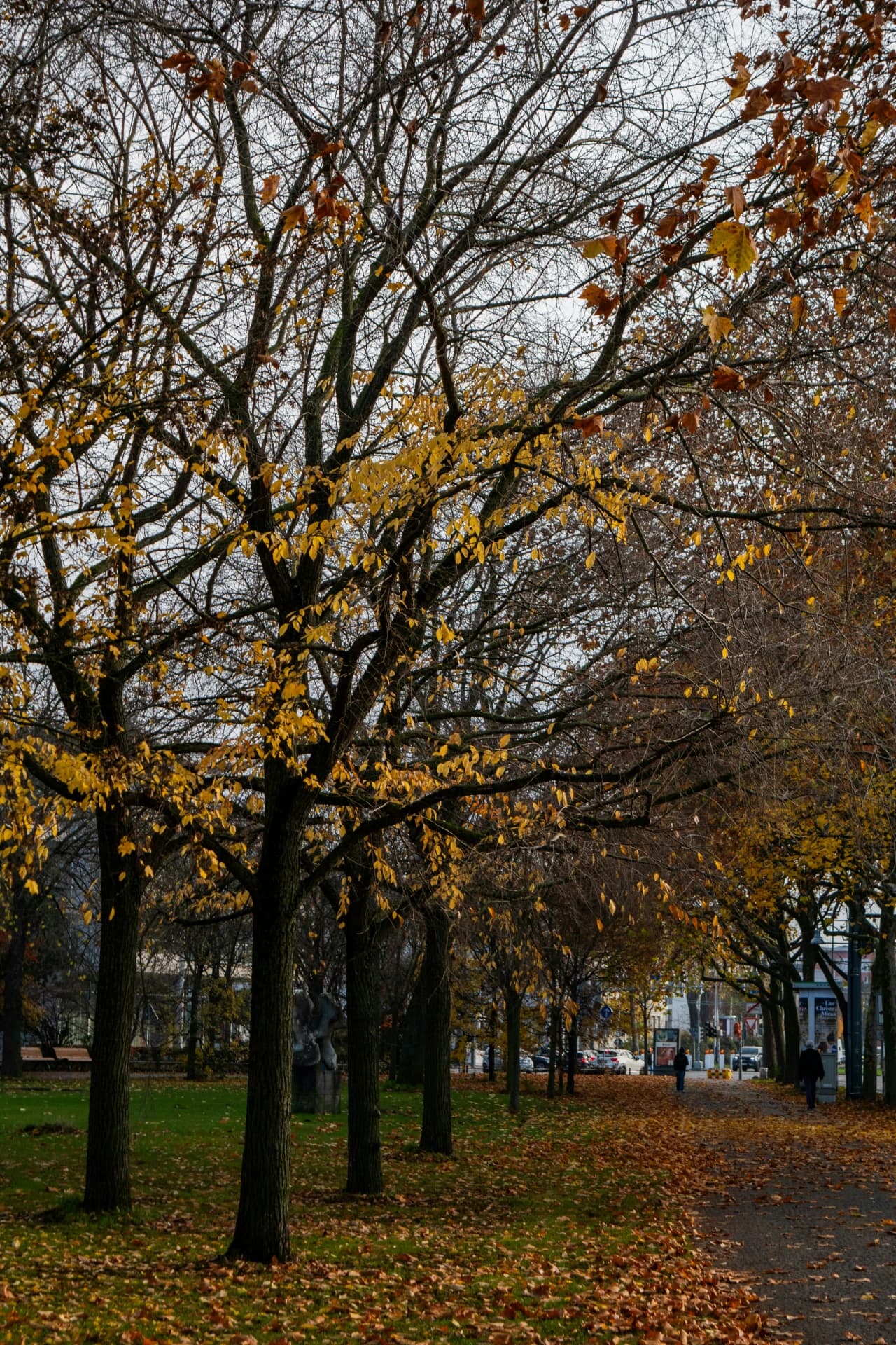 Herrngarten mit Herbstlaub in Darmstadt