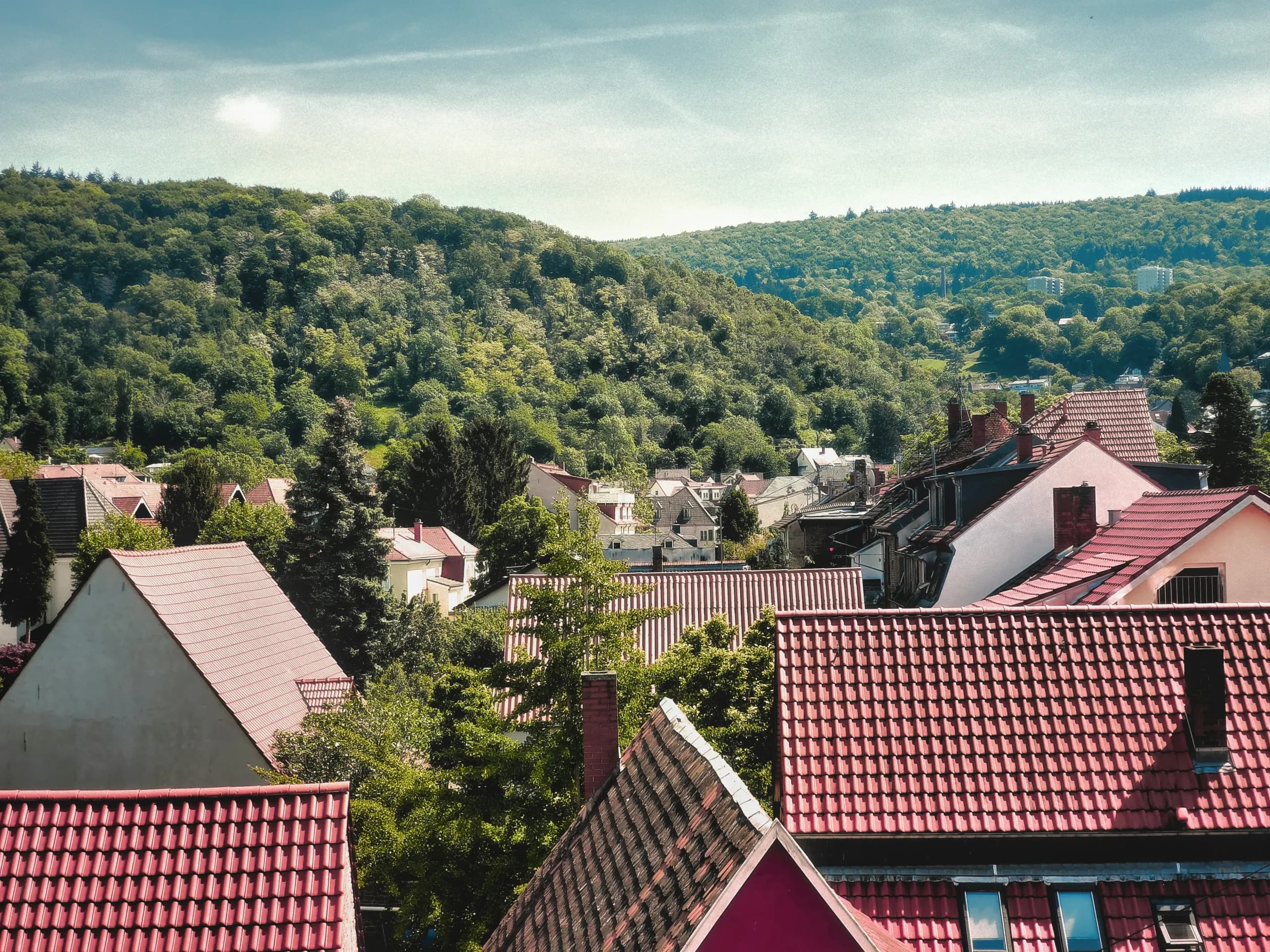 Blick über rote Ziegeldächer eines Wohnviertels am bewaldeten Hang