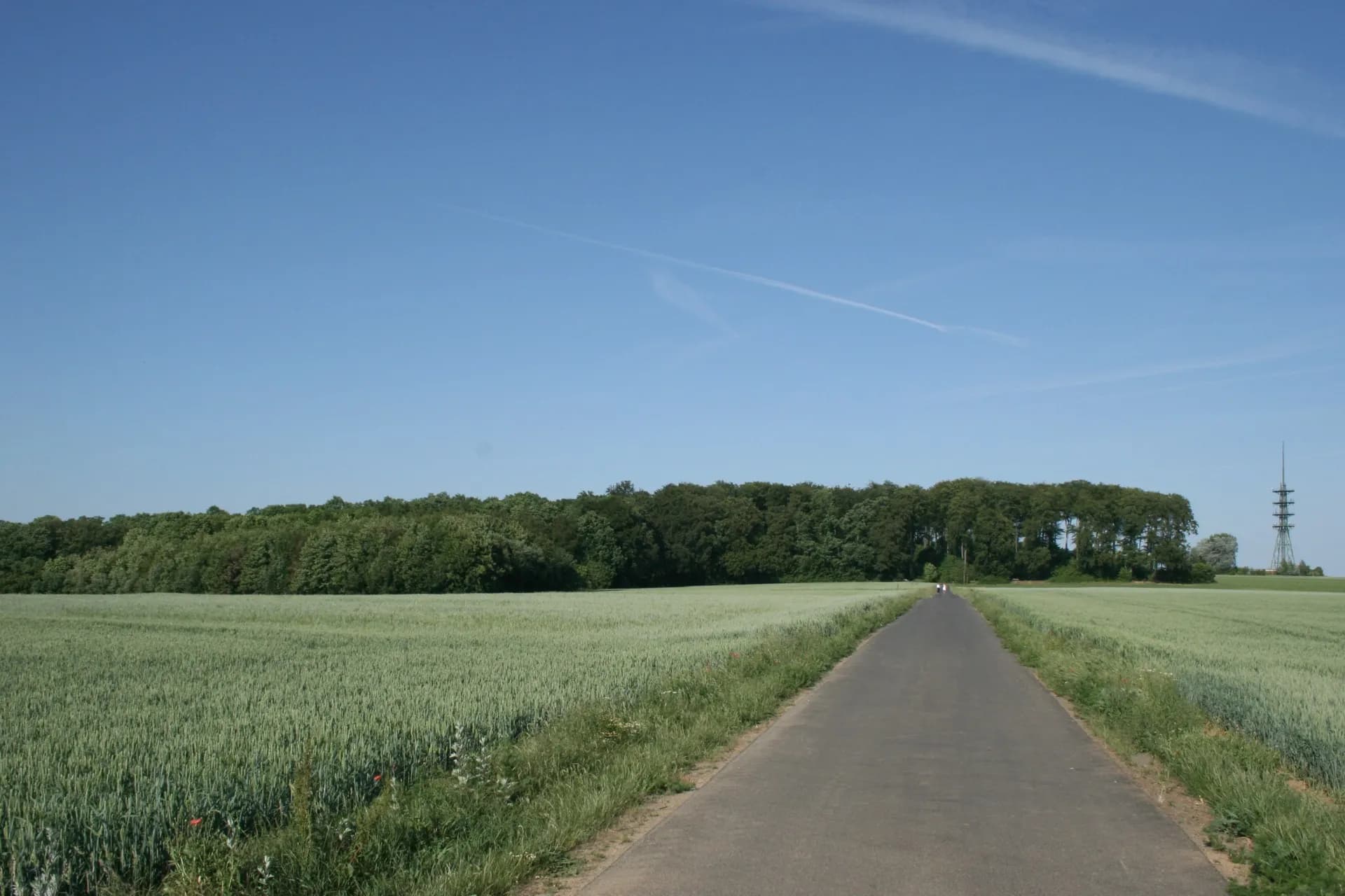Hühnerberg bei Maintal
