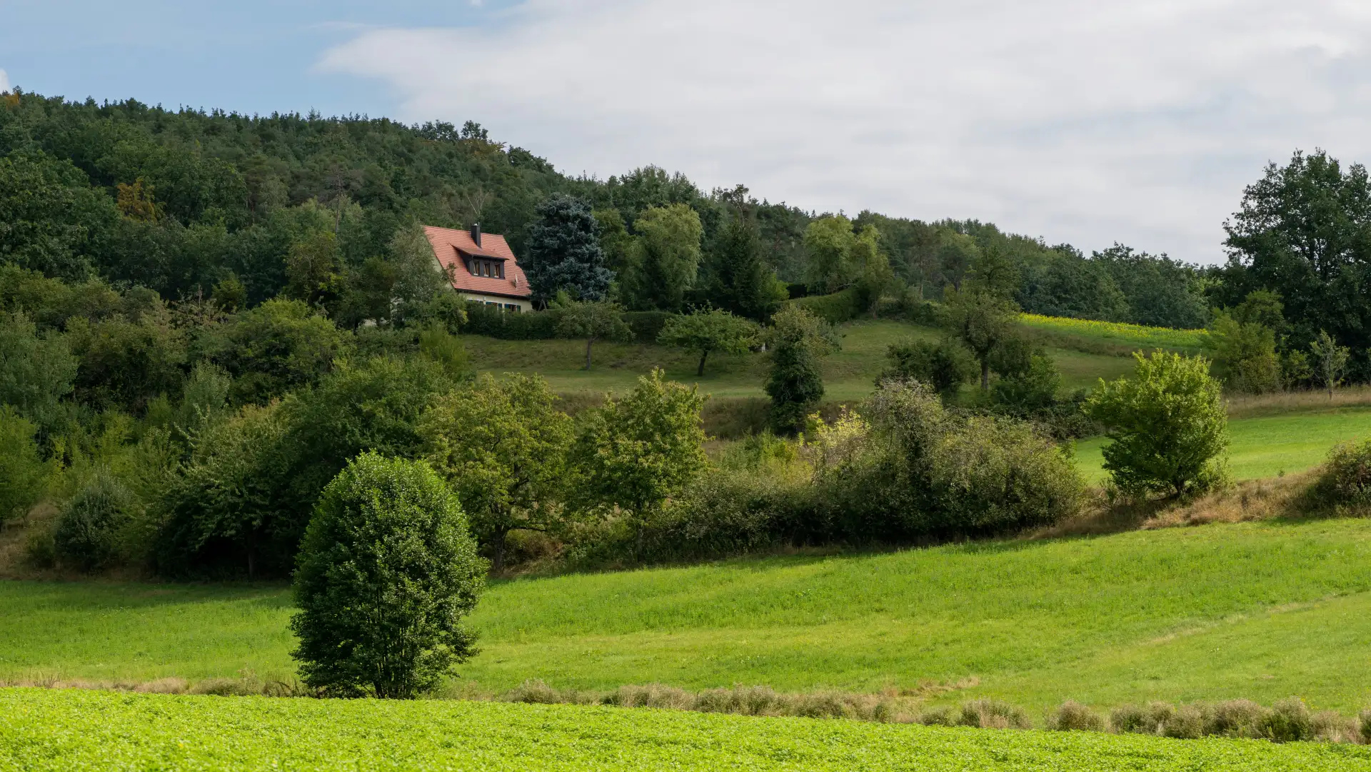 Haus mit rotem Dach am Waldrand über einem Wiesenhang