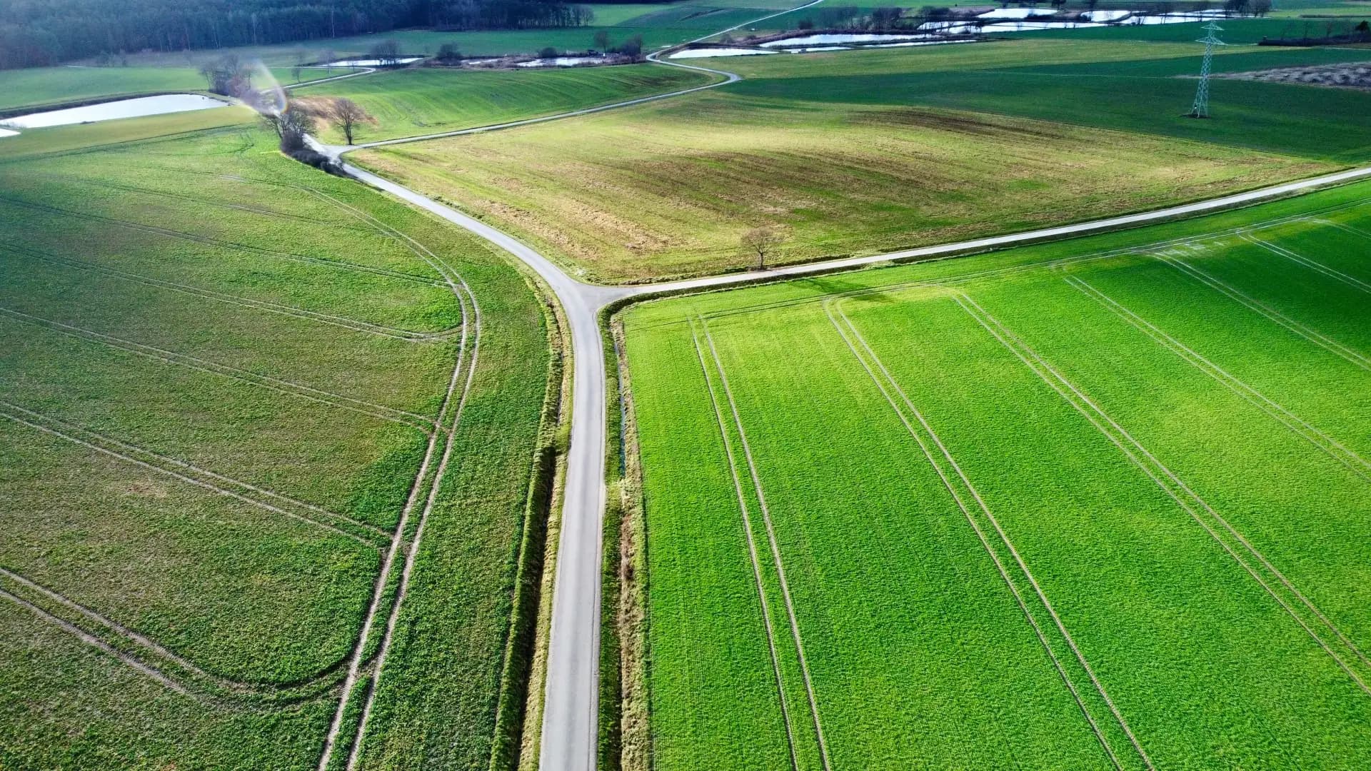 Luftbild einer Wegkreuzung zwischen Feldern und Teichen