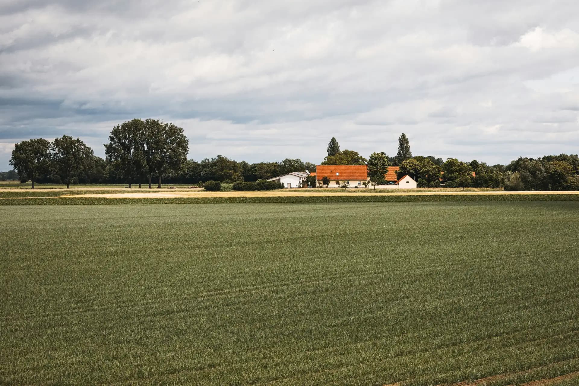 Weites Feld mit Hofstelle und roten Dächern am Horizont