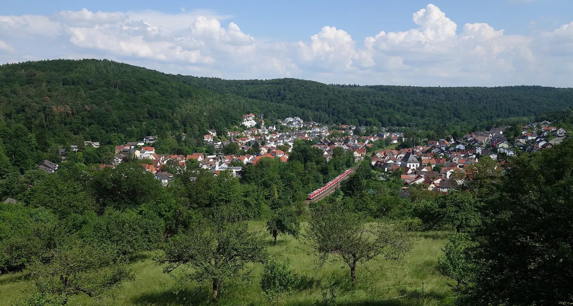 Blick über das Lorsbachtal in Hofheim-Lorsbach