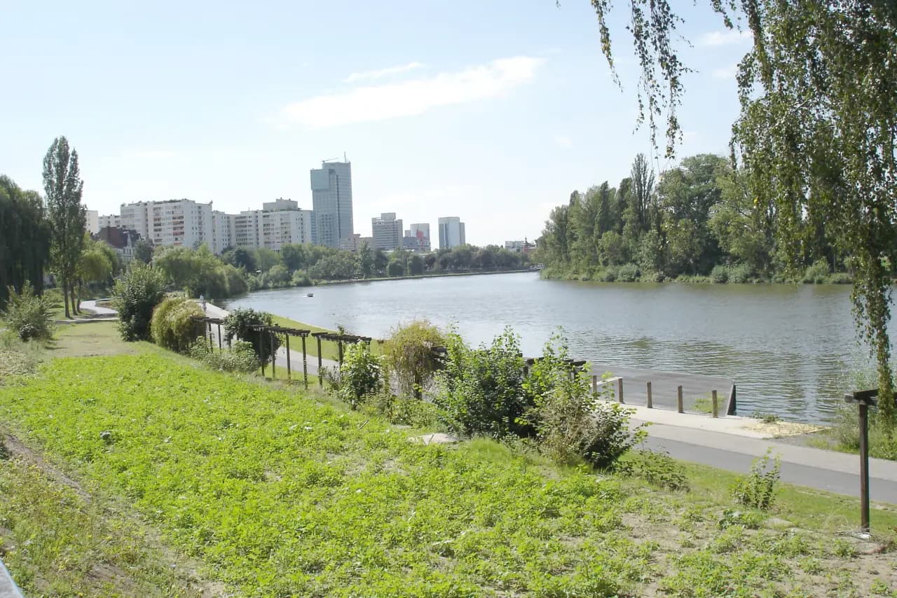 Offenbacher Mainbogen