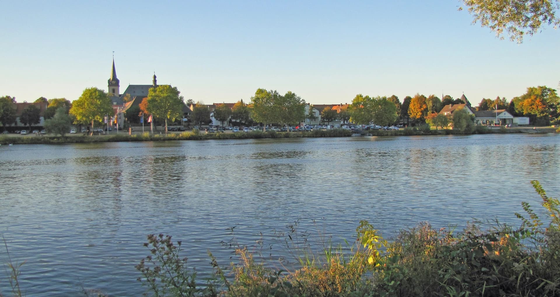 Blick über den Main auf Flörsheim am Main mit der Kirche St. Gallus