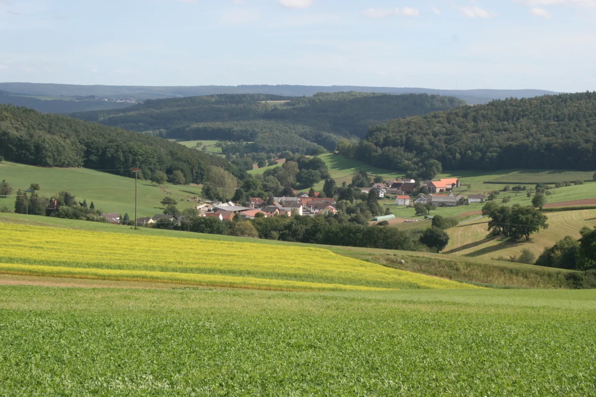 Blick auf Mittel-Kinzig in Bad König