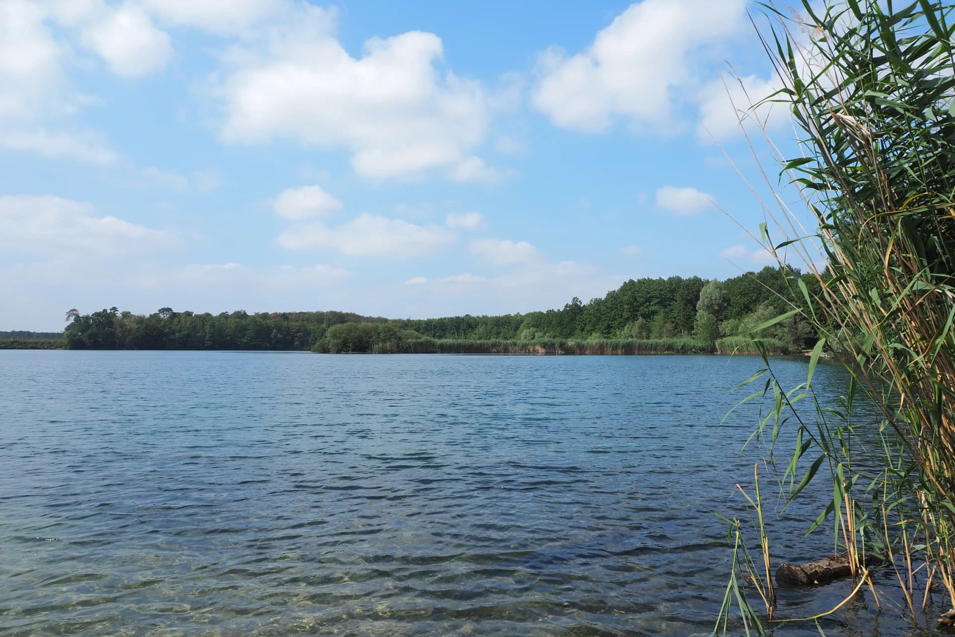 Mönchwaldsee bei Kelsterbach