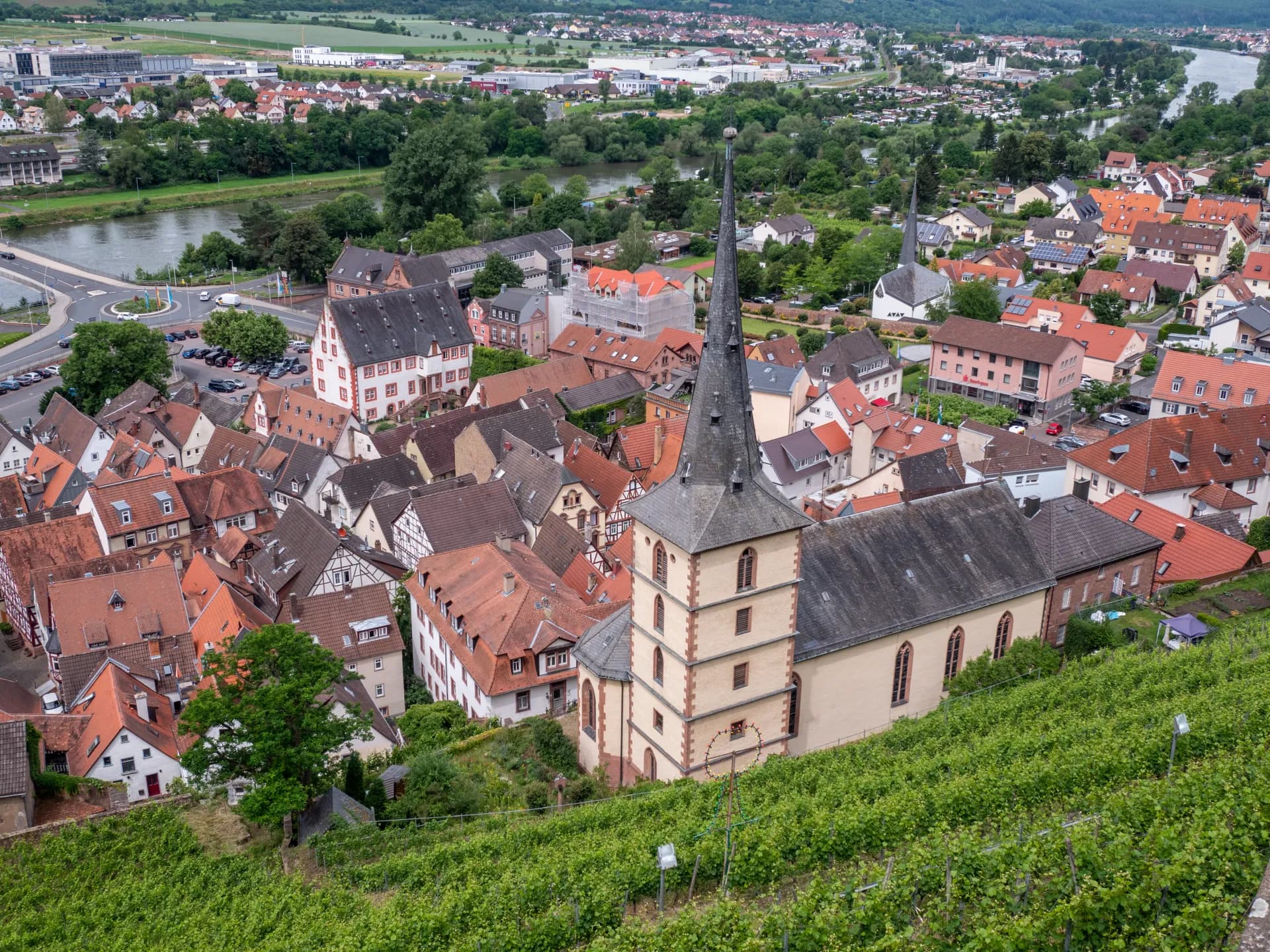 Blick von den Weinbergen über die Altstadt und den Main in Klingenberg am Main