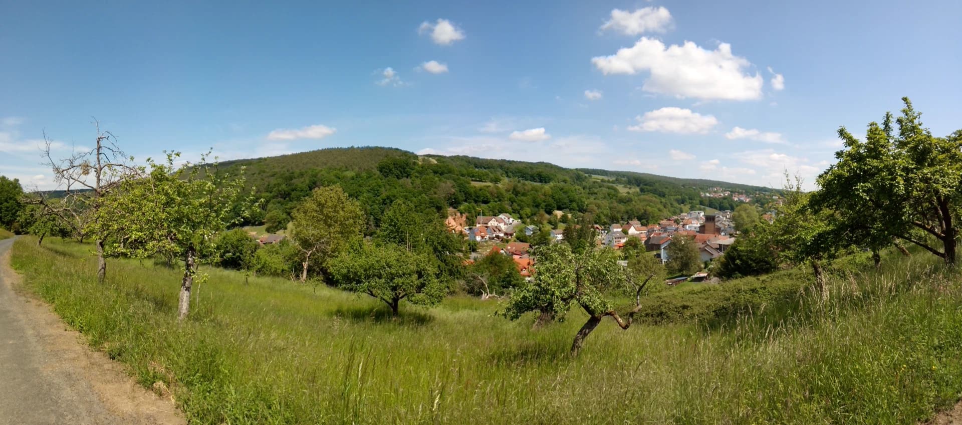Blick über eine Streuobstwiese auf den Ort Leidersbach